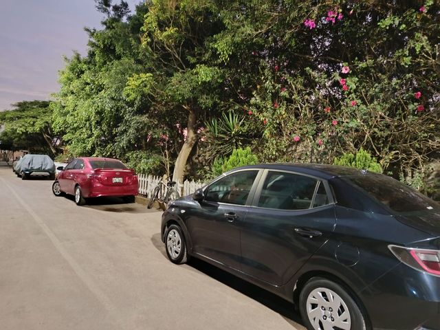 place photo 24