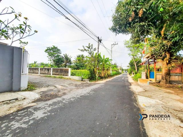 place photo 4