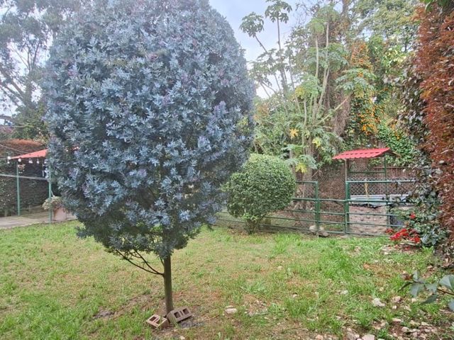 place photo 47