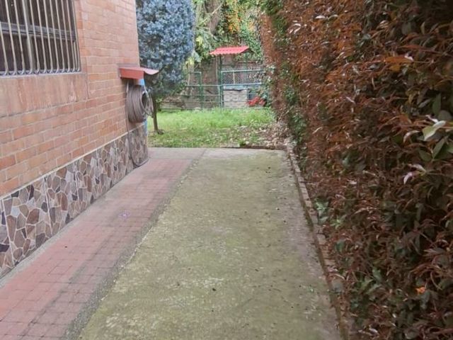 place photo 46