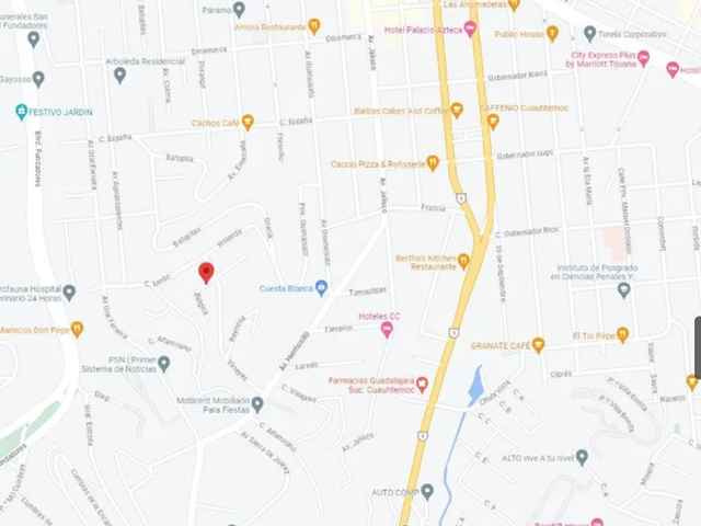 place photo 7