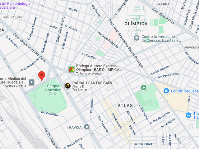 place photo 18