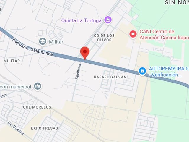 place photo 10