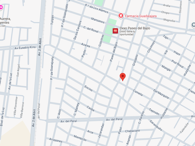 place photo 5