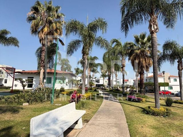 place photo 29