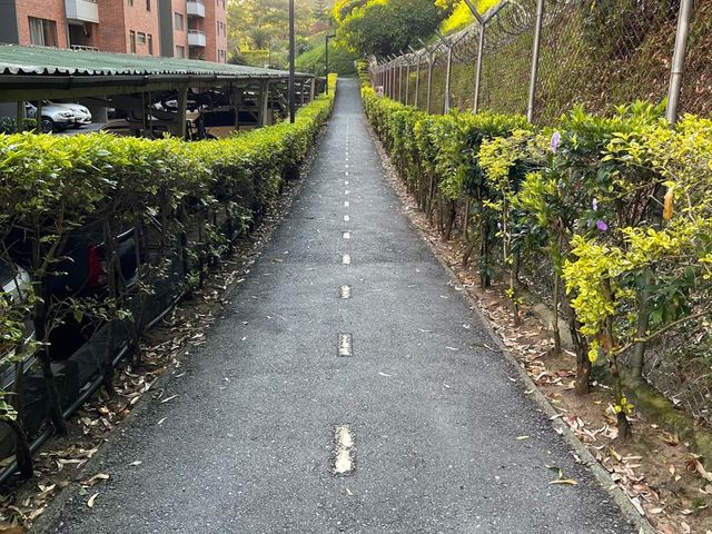 place photo 15