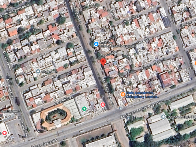 place photo 20