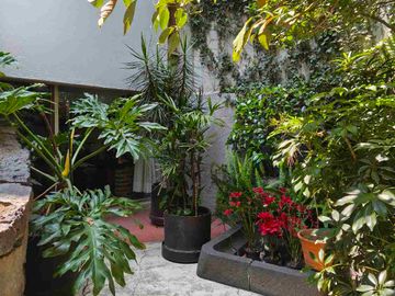 place photo 21