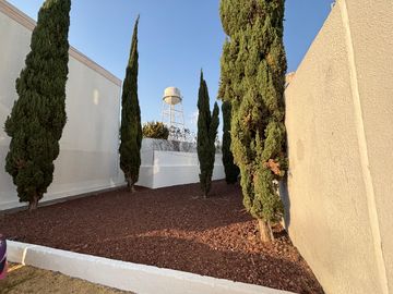 place photo 36