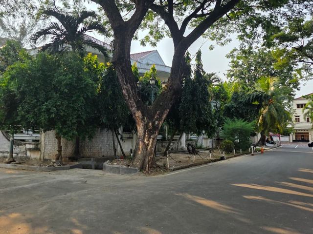 place photo 10