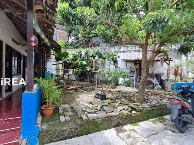 place photo 11
