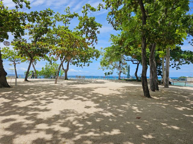 place photo 33