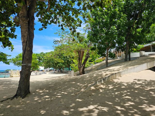 place photo 31