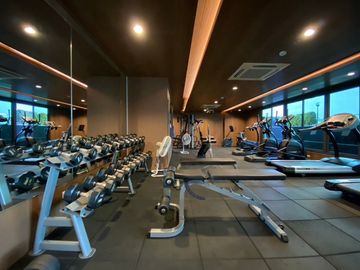 place photo 17