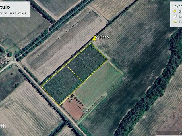 place photo 7
