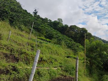 place photo 45