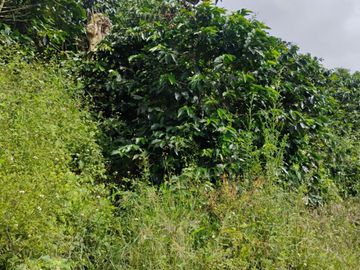 place photo 47