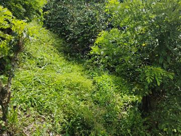 place photo 51