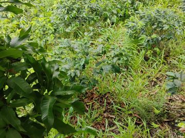 place photo 56