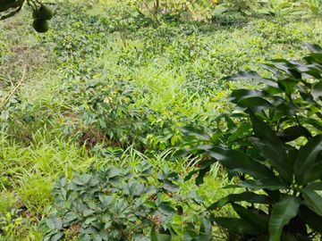 place photo 57