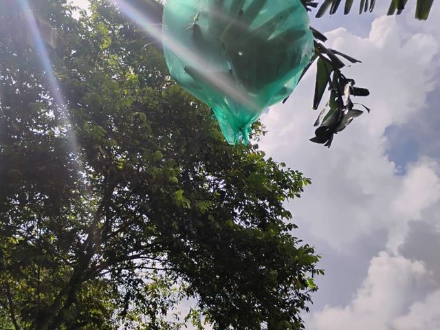 place photo 62