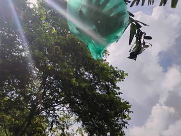place photo 62