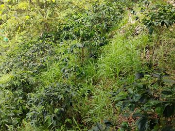 place photo 64