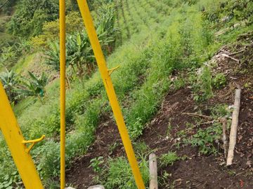 place photo 65