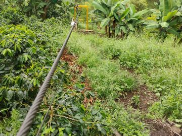 place photo 66