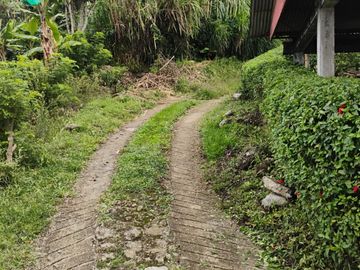 place photo 72