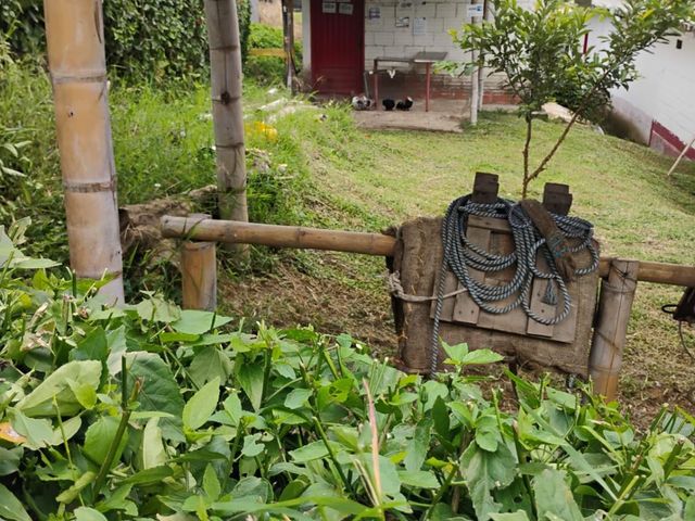 place photo 73