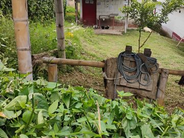place photo 73