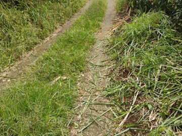 place photo 74
