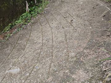 place photo 76