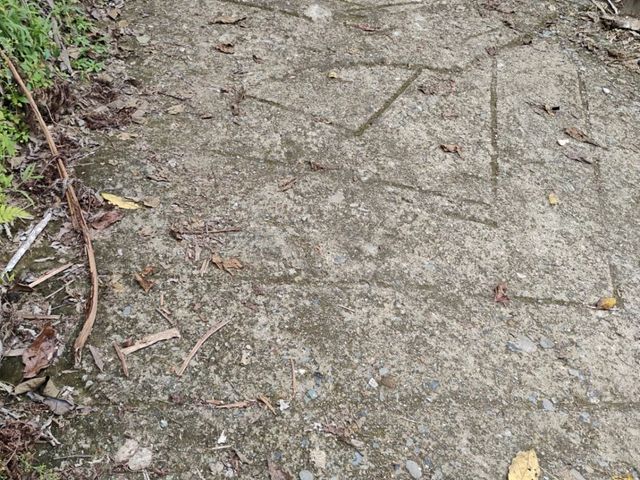 place photo 77