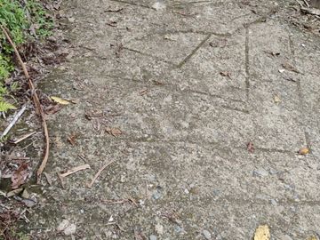place photo 77