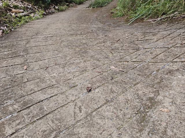 place photo 78