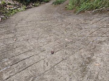 place photo 78