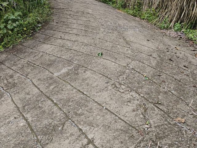 place photo 79