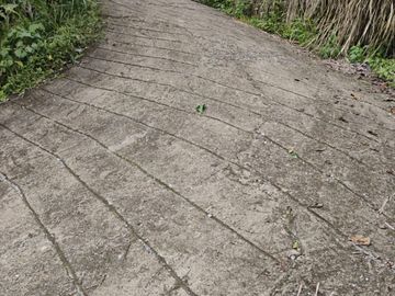 place photo 79