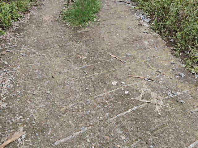 place photo 80