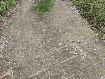 place photo 80