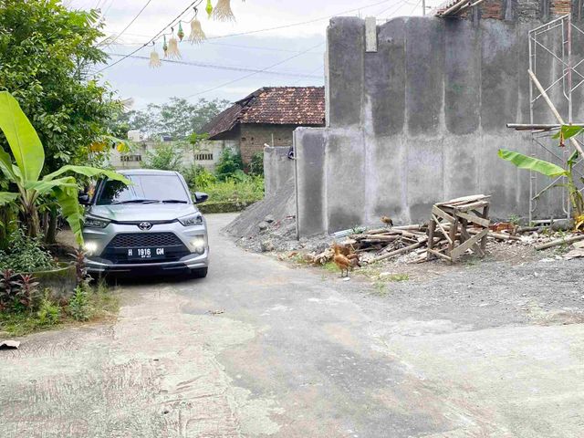 place photo 13