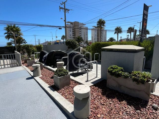 place photo 32