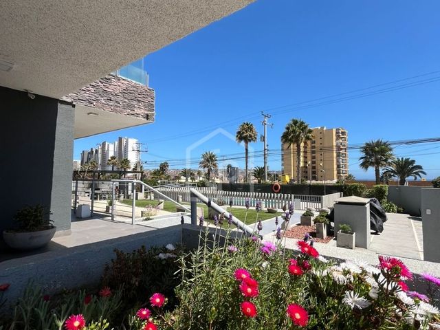 place photo 37