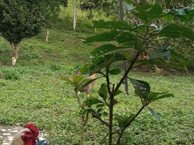 place photo 21