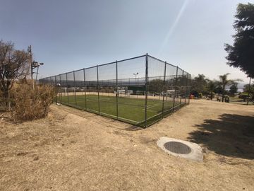 place photo 16