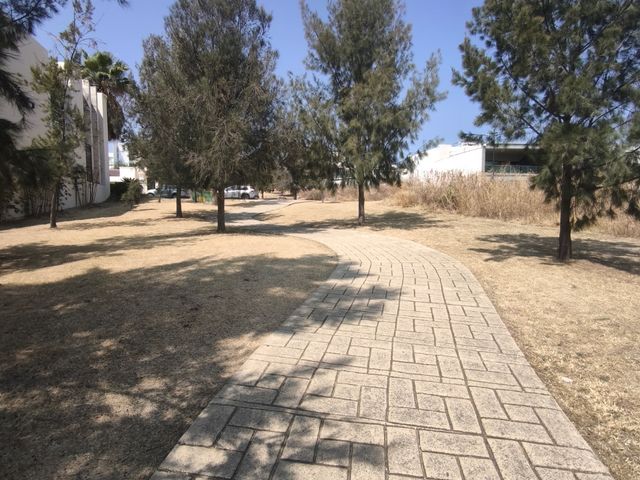 place photo 37