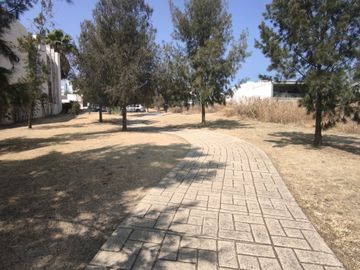 place photo 37