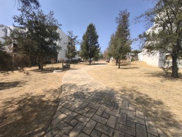 place photo 40